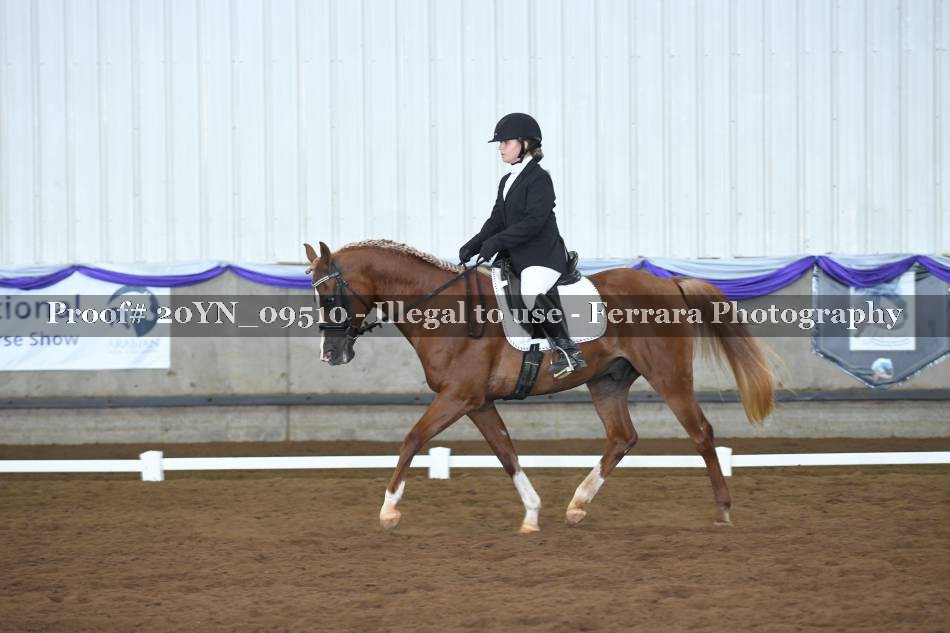 Proof 20YN_09510