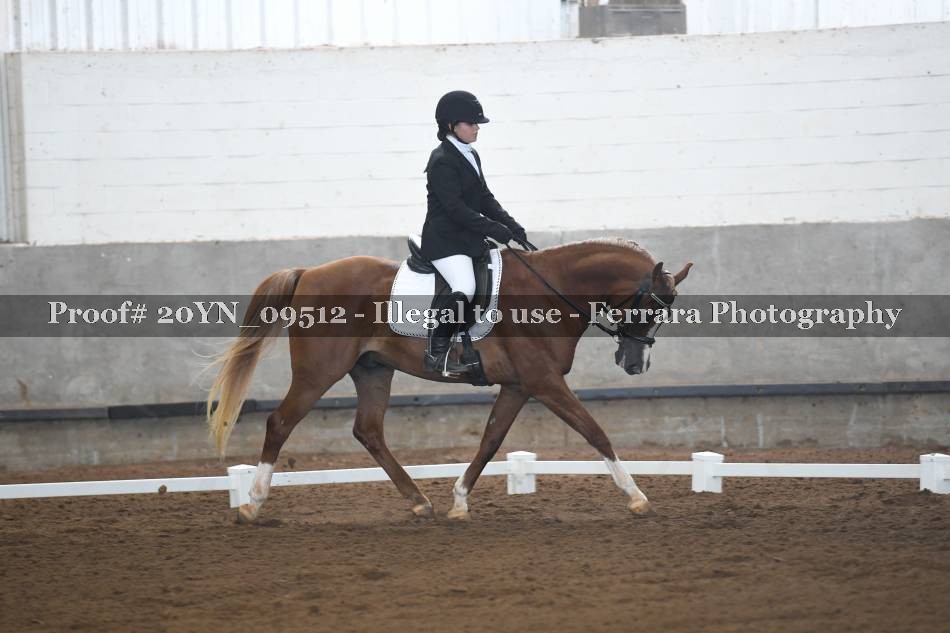 Proof 20YN_09512