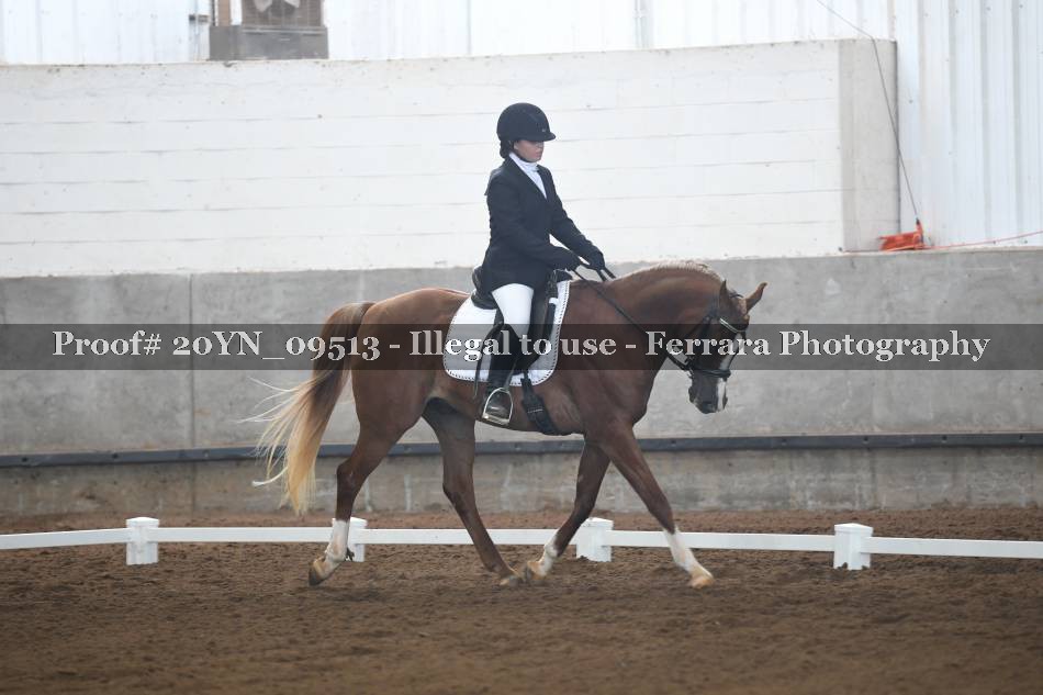 Proof 20YN_09513