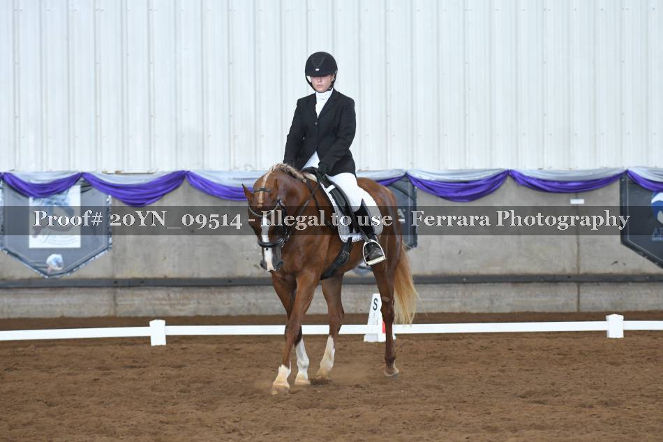 Proof 20YN_09514