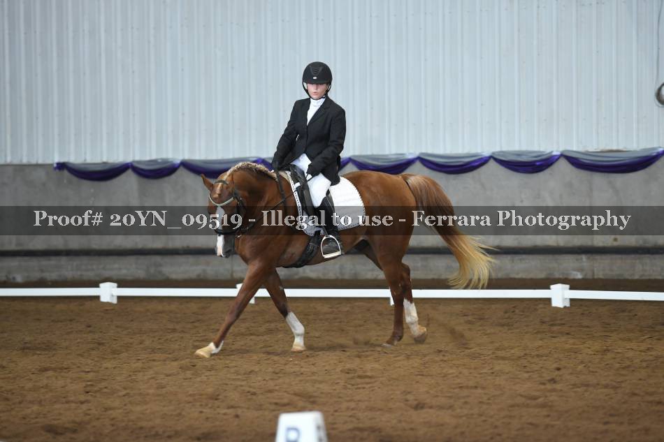 Proof 20YN_09519
