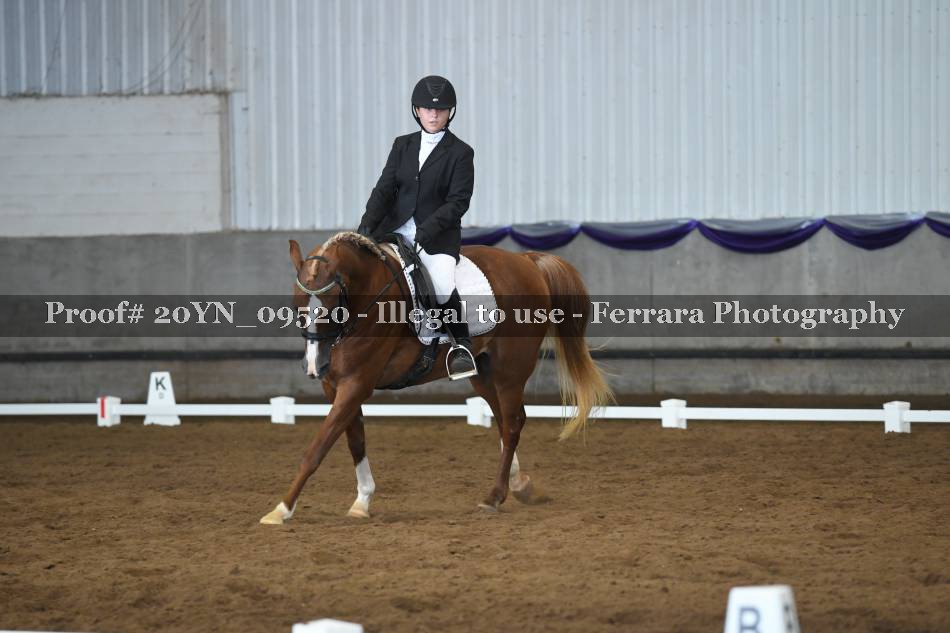 Proof 20YN_09520