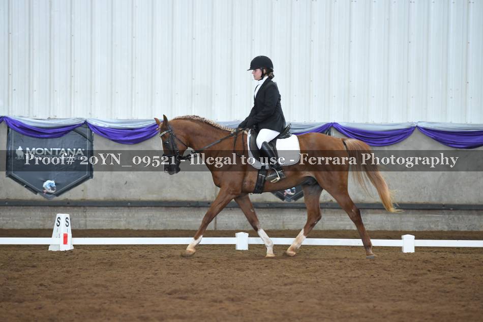 Proof 20YN_09521