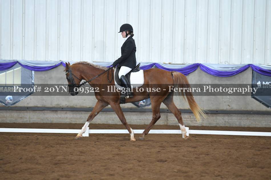 Proof 20YN_09522