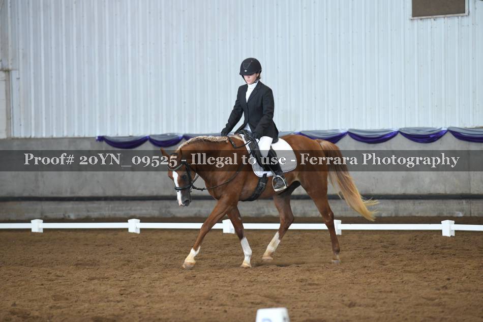 Proof 20YN_09525