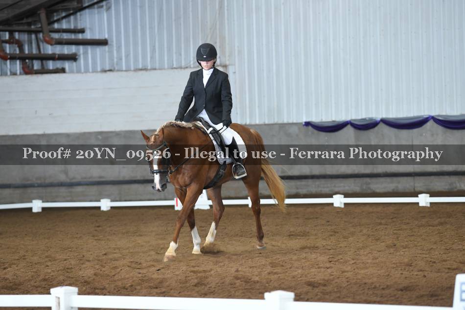 Proof 20YN_09526
