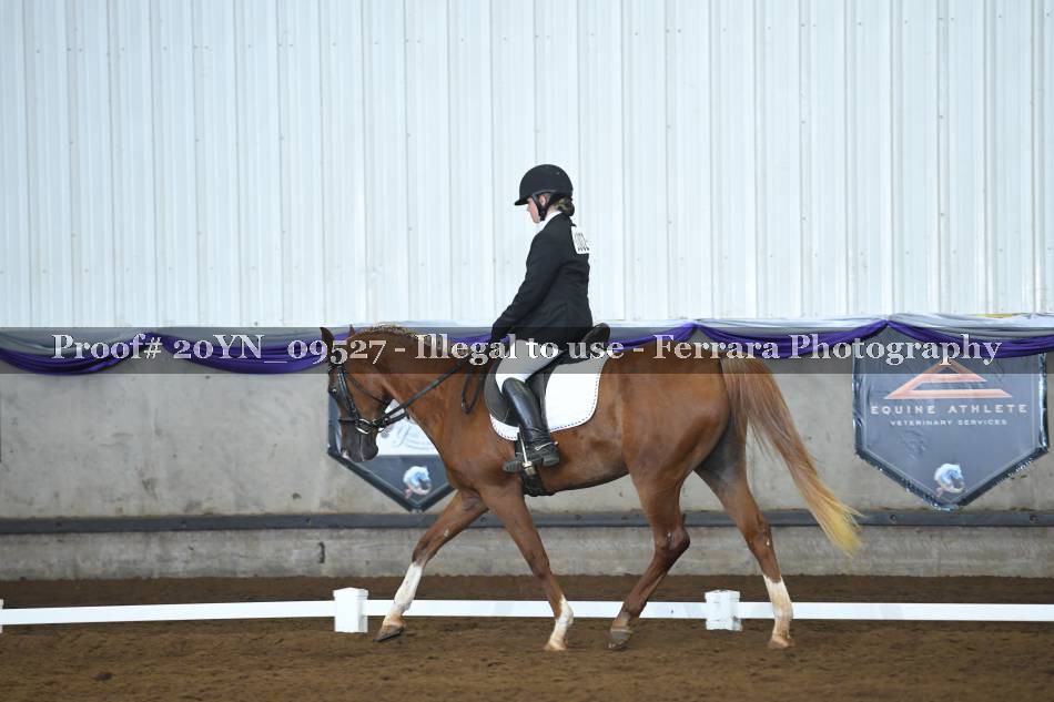Proof 20YN_09527