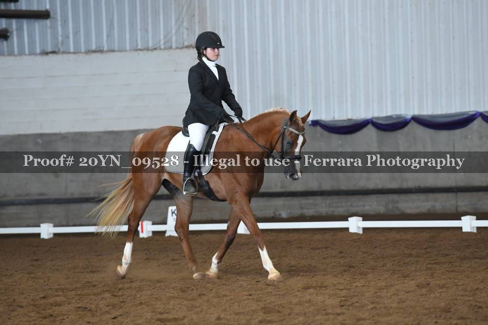 Proof 20YN_09528