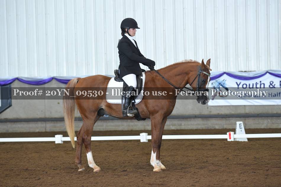 Proof 20YN_09530