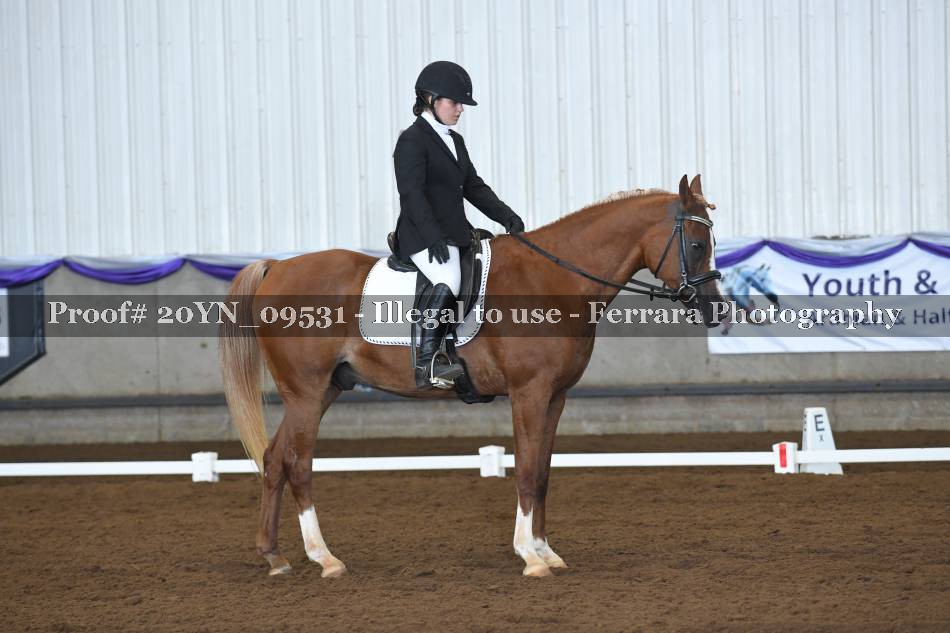 Proof 20YN_09531
