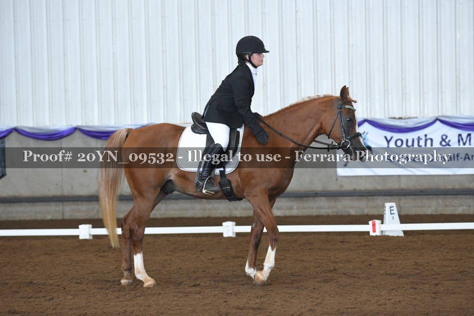 Proof 20YN_09532