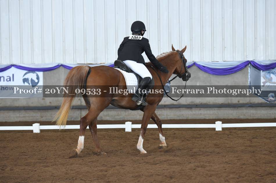 Proof 20YN_09533