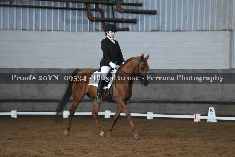 Proof 20YN_09534