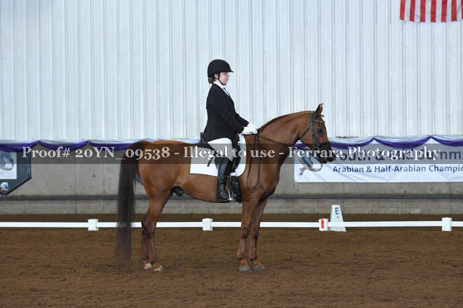 Proof 20YN_09538