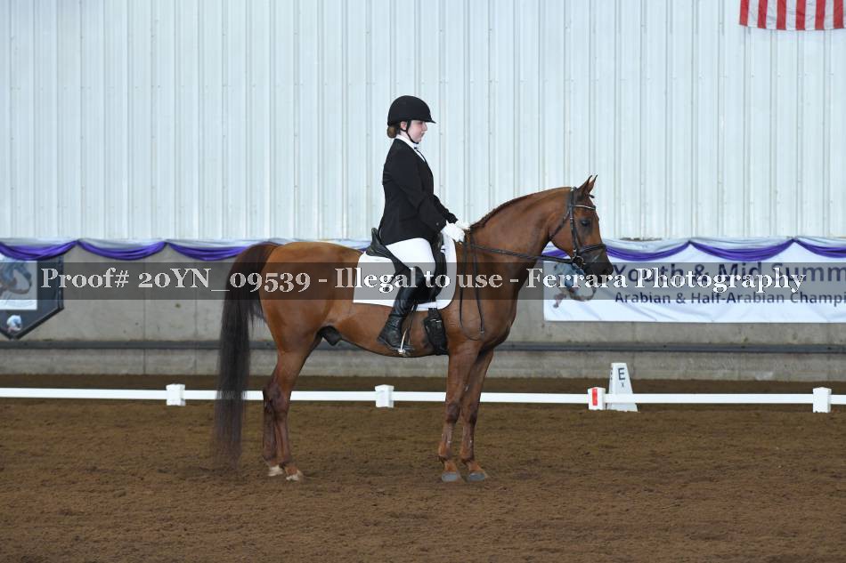 Proof 20YN_09539