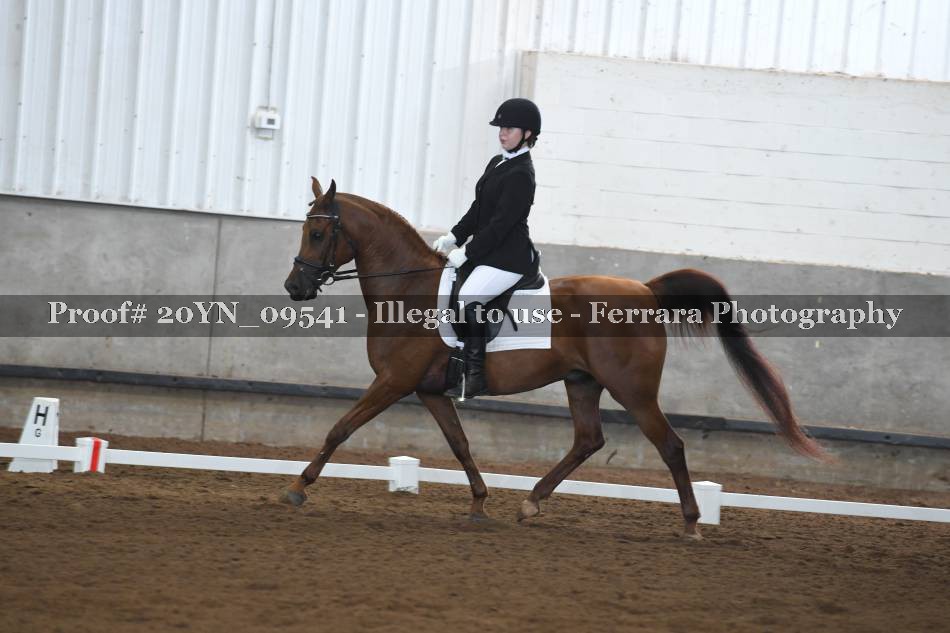 Proof 20YN_09541