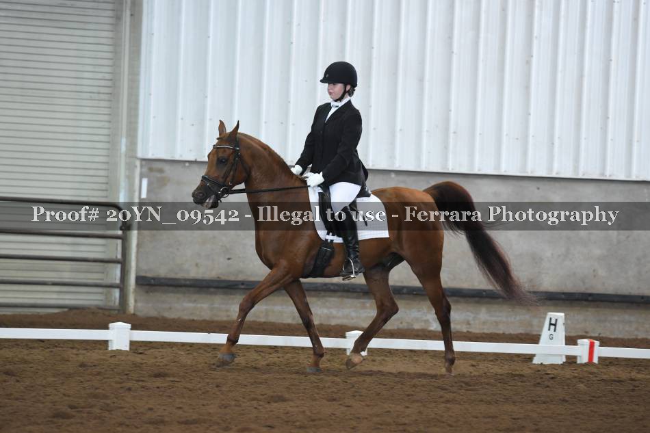 Proof 20YN_09542