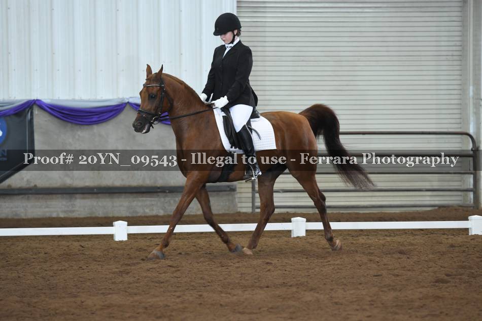 Proof 20YN_09543