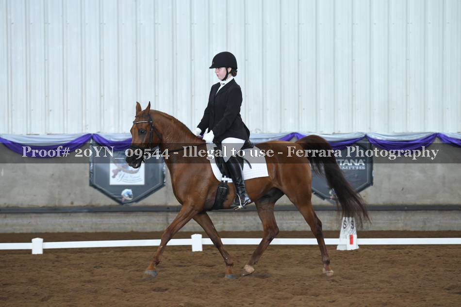 Proof 20YN_09544