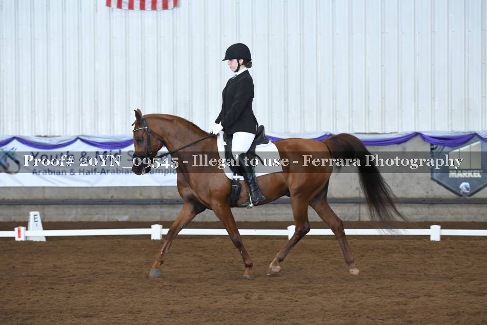 Proof 20YN_09545