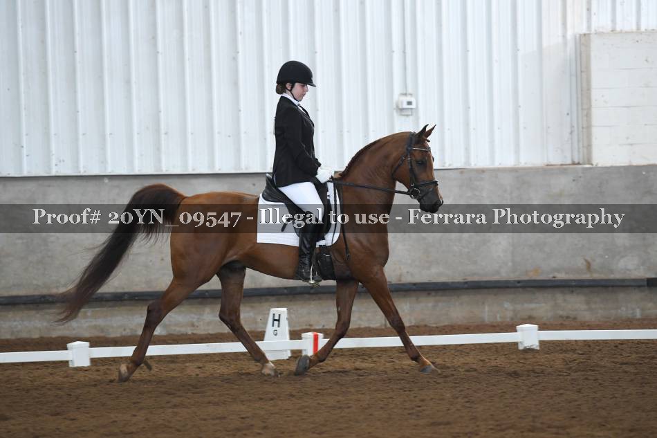 Proof 20YN_09547