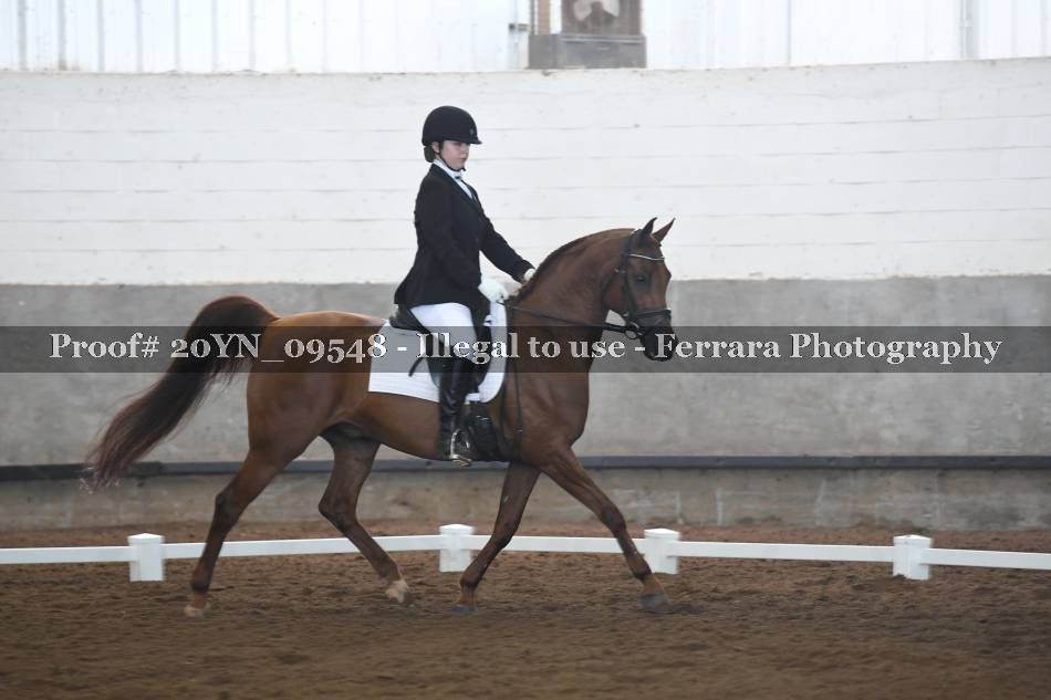 Proof 20YN_09548