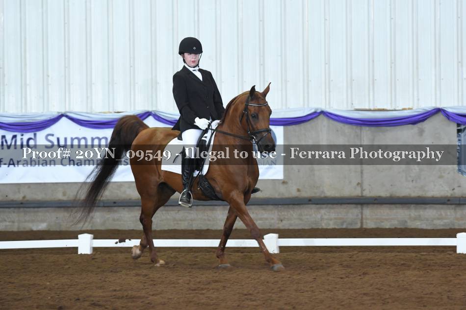 Proof 20YN_09549