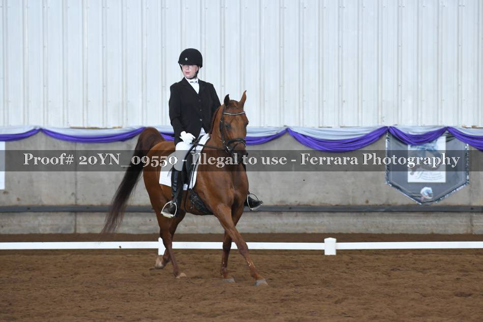 Proof 20YN_09550