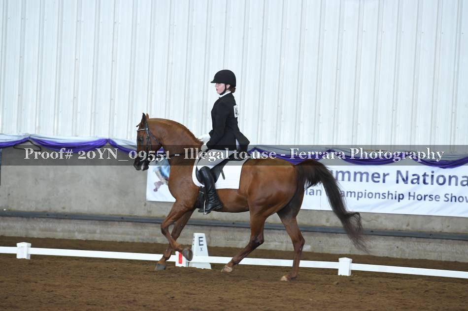 Proof 20YN_09551