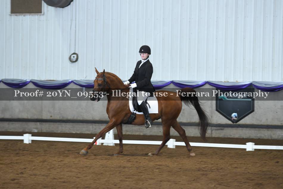 Proof 20YN_09553