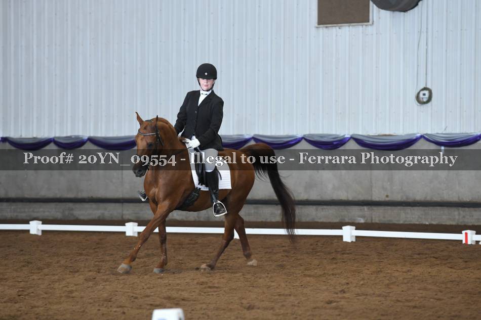 Proof 20YN_09554