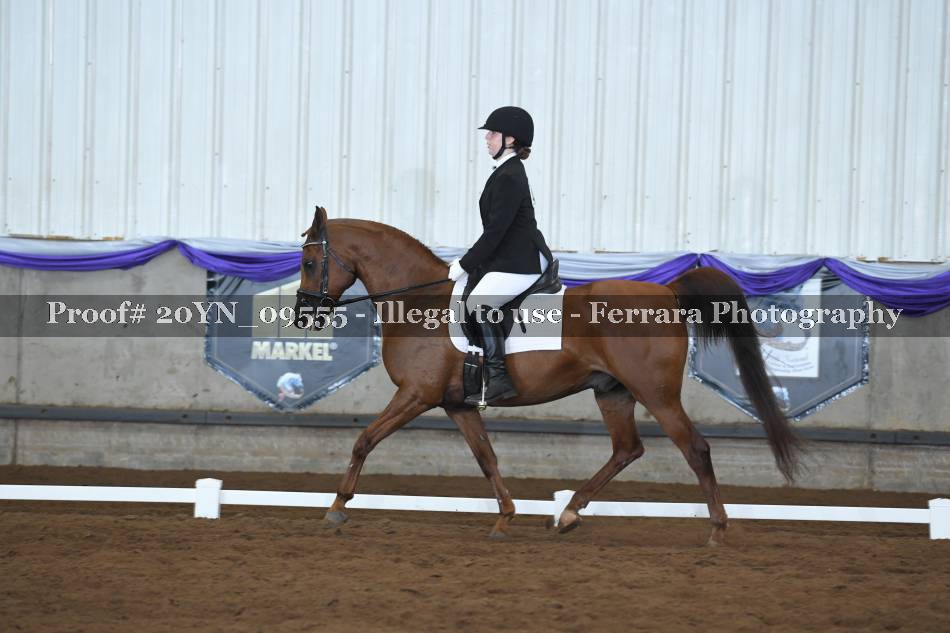 Proof 20YN_09555