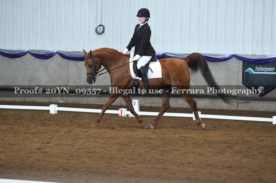Proof 20YN_09557
