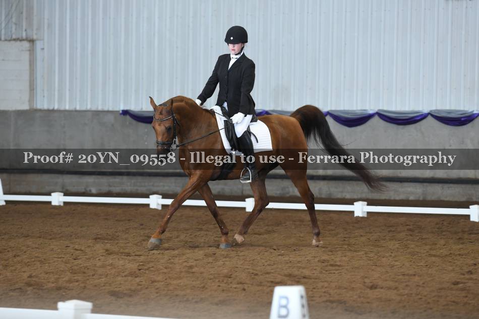 Proof 20YN_09558