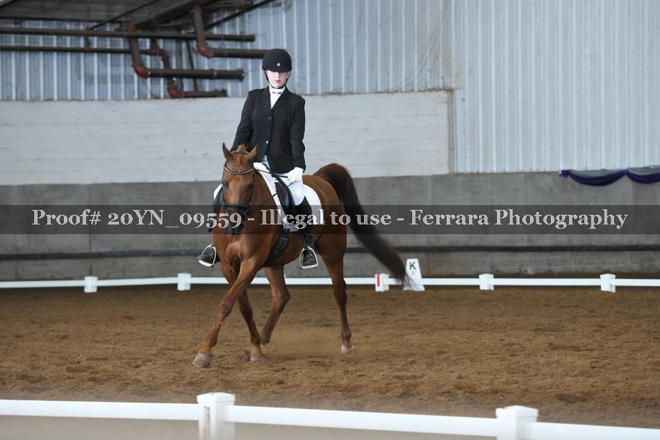 Proof 20YN_09559