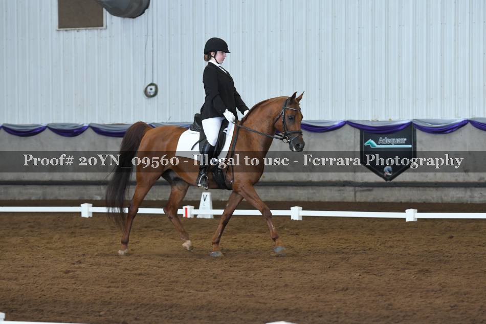 Proof 20YN_09560