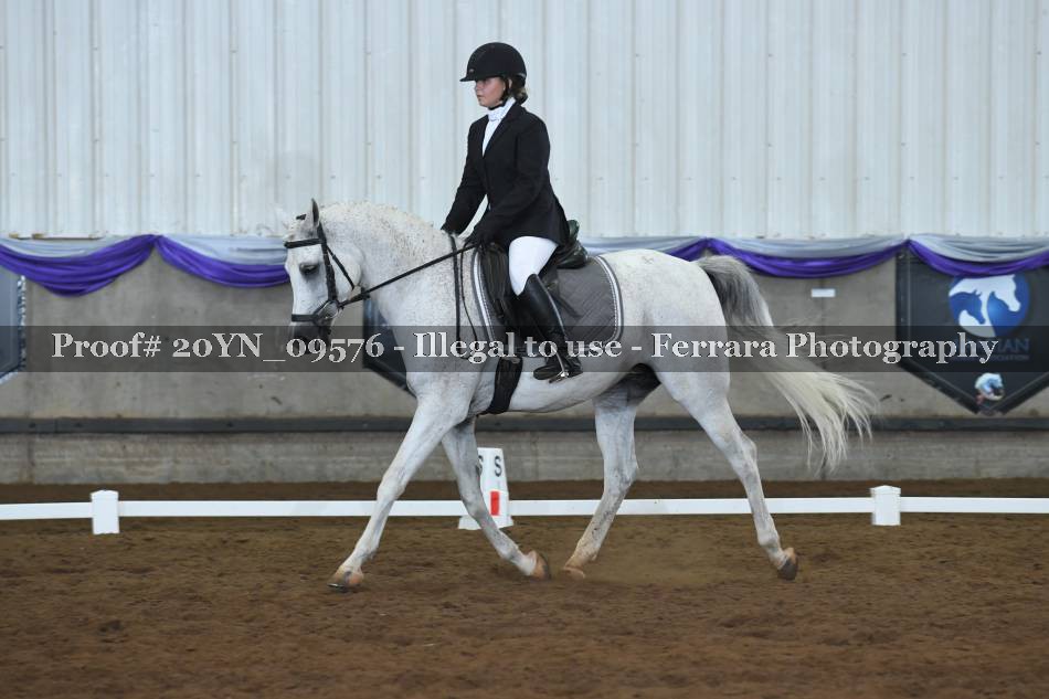 Proof 20YN_09576