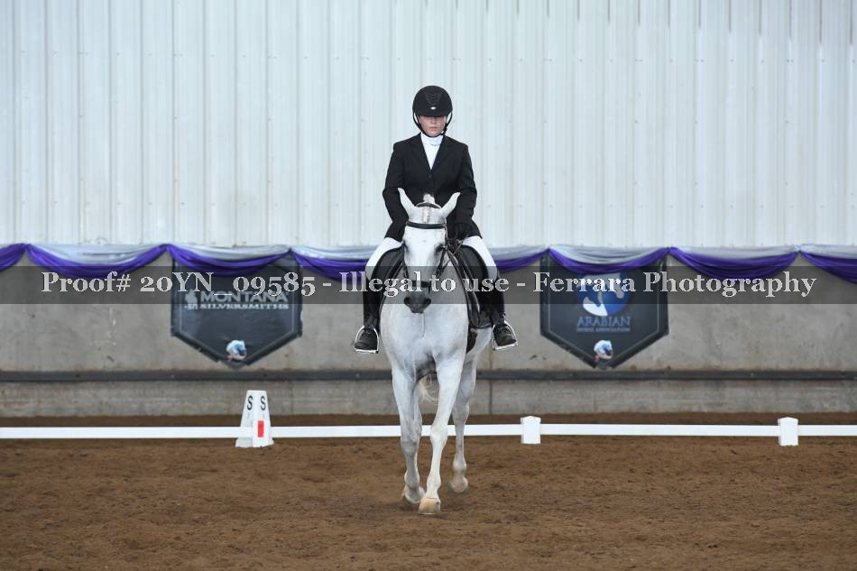 Proof 20YN_09585