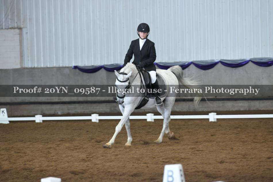 Proof 20YN_09587