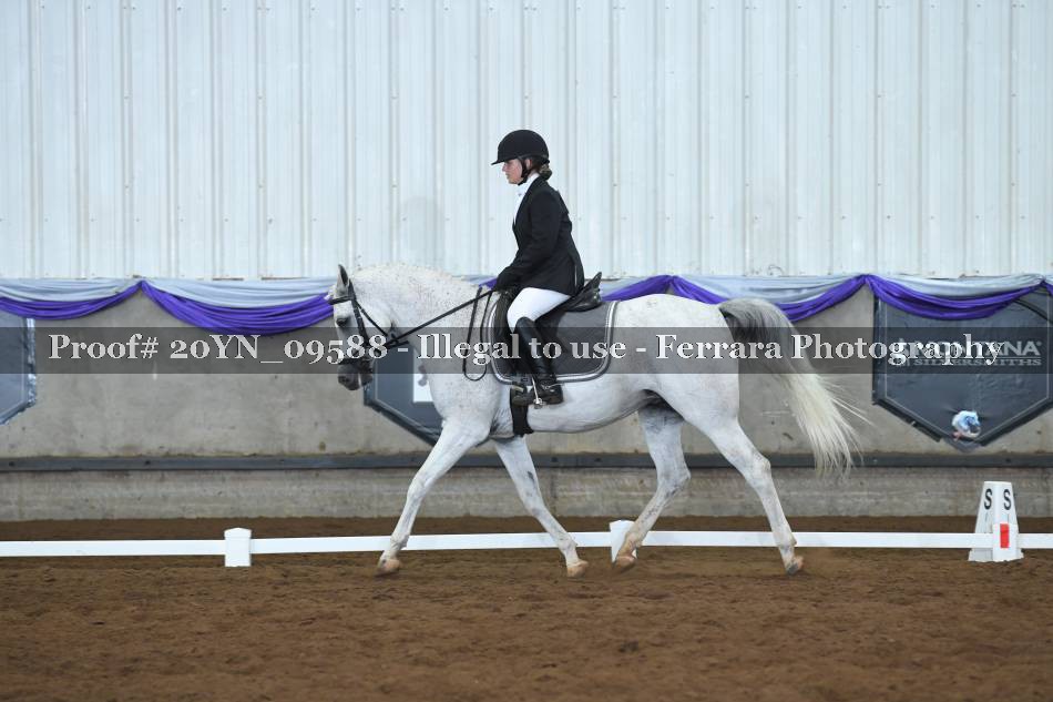 Proof 20YN_09588