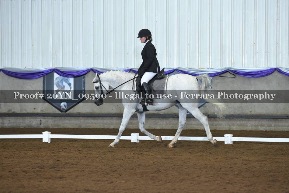 Proof 20YN_09590