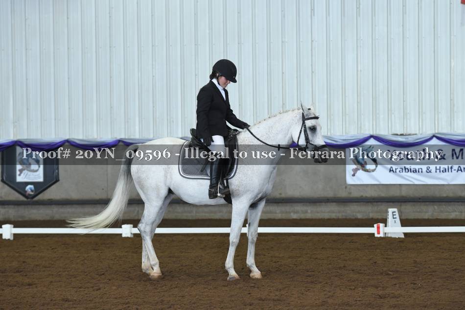 Proof 20YN_09596