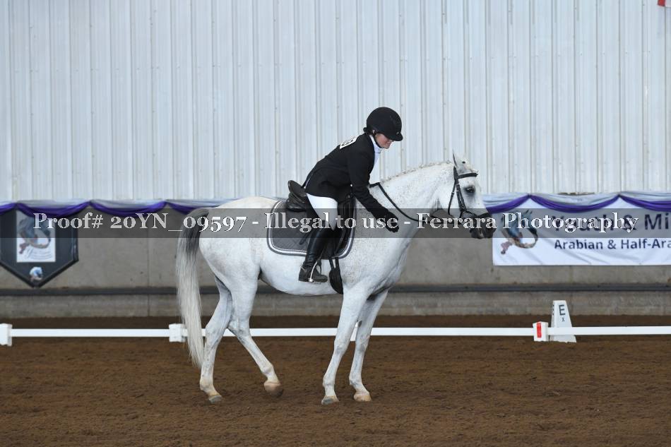 Proof 20YN_09597