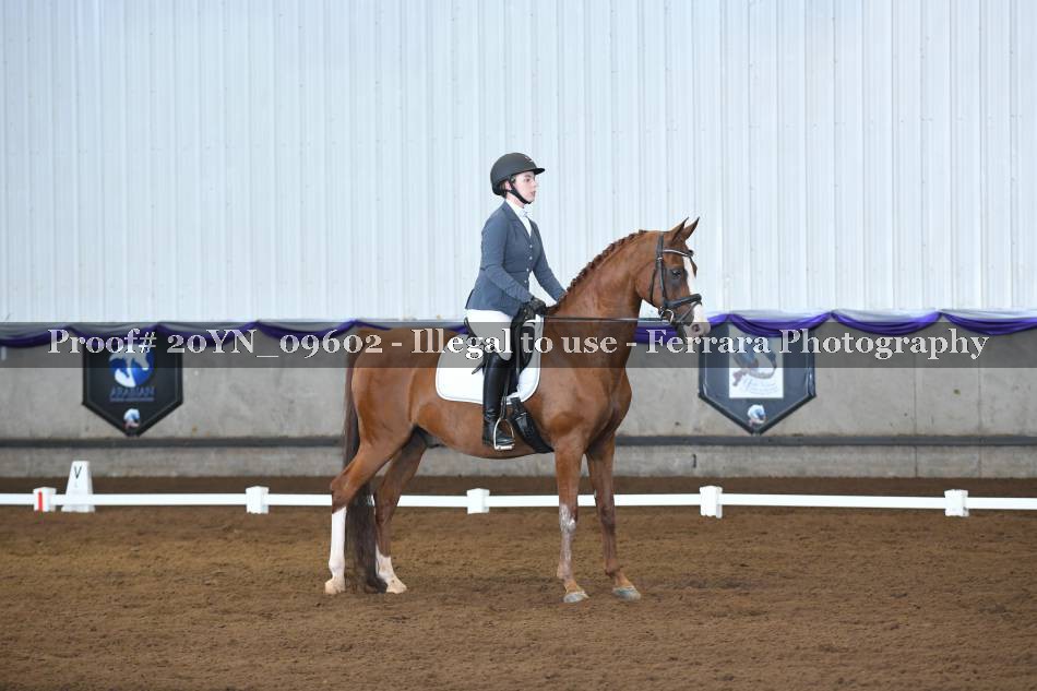 Proof 20YN_09602