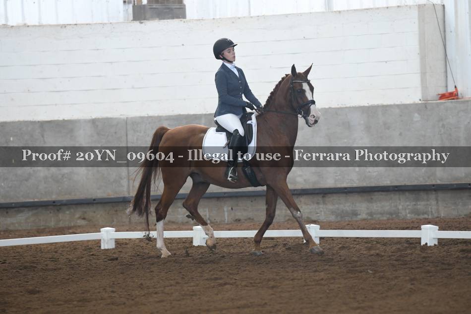 Proof 20YN_09604
