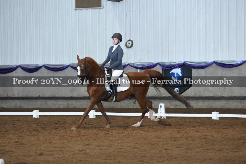 Proof 20YN_09611