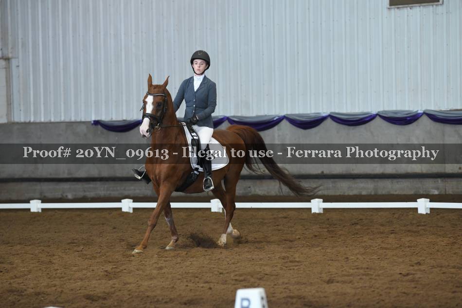 Proof 20YN_09613