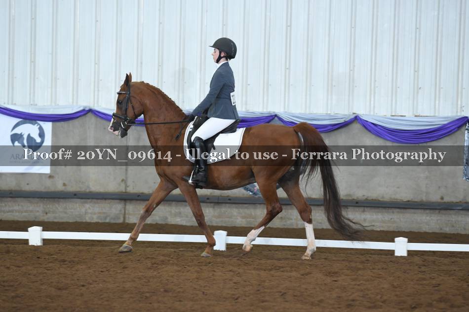 Proof 20YN_09614