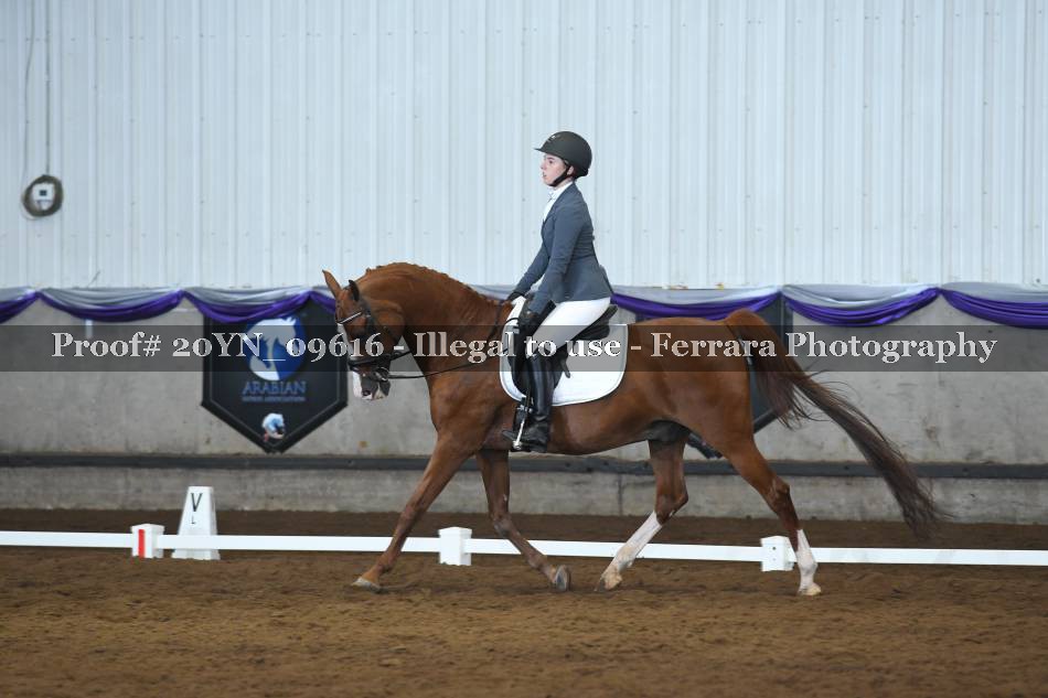 Proof 20YN_09616