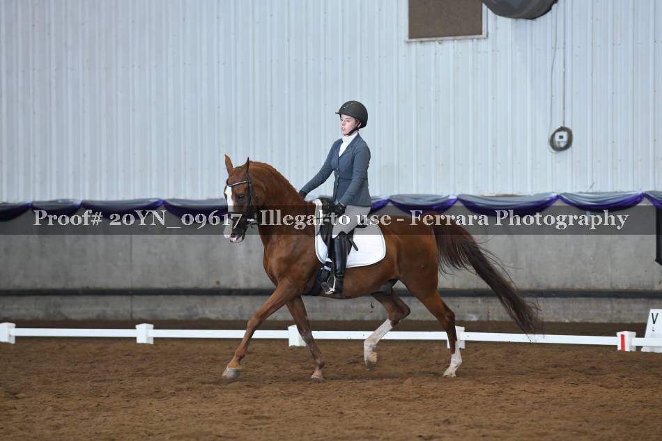 Proof 20YN_09617